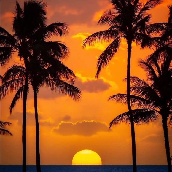 Meet your Posher, Kati - Picture 6 of 13